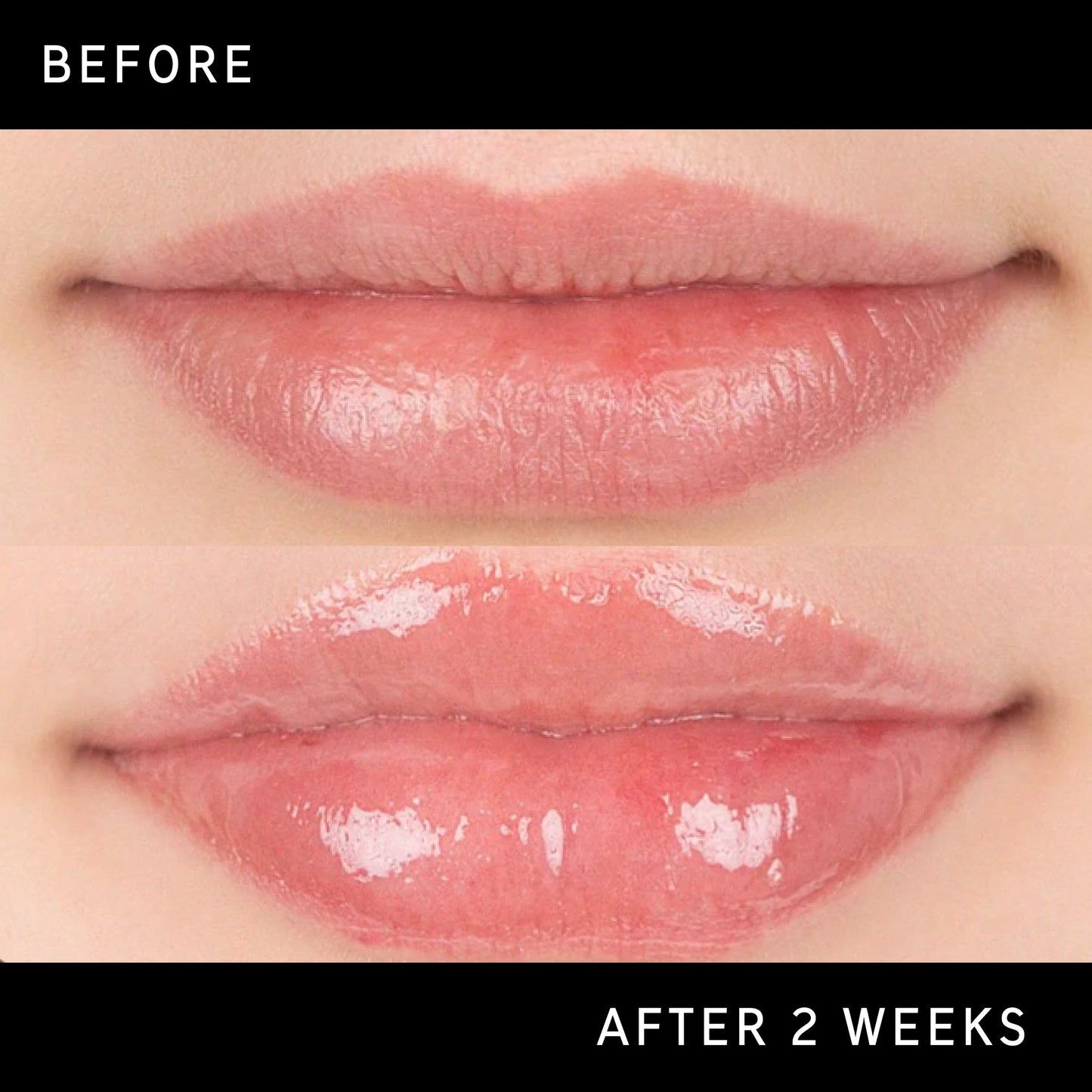 tripeptide-plumping-lip-balm-p7 DTC-Top15_Amends_Tripeptide-Lip_B_A.jpg