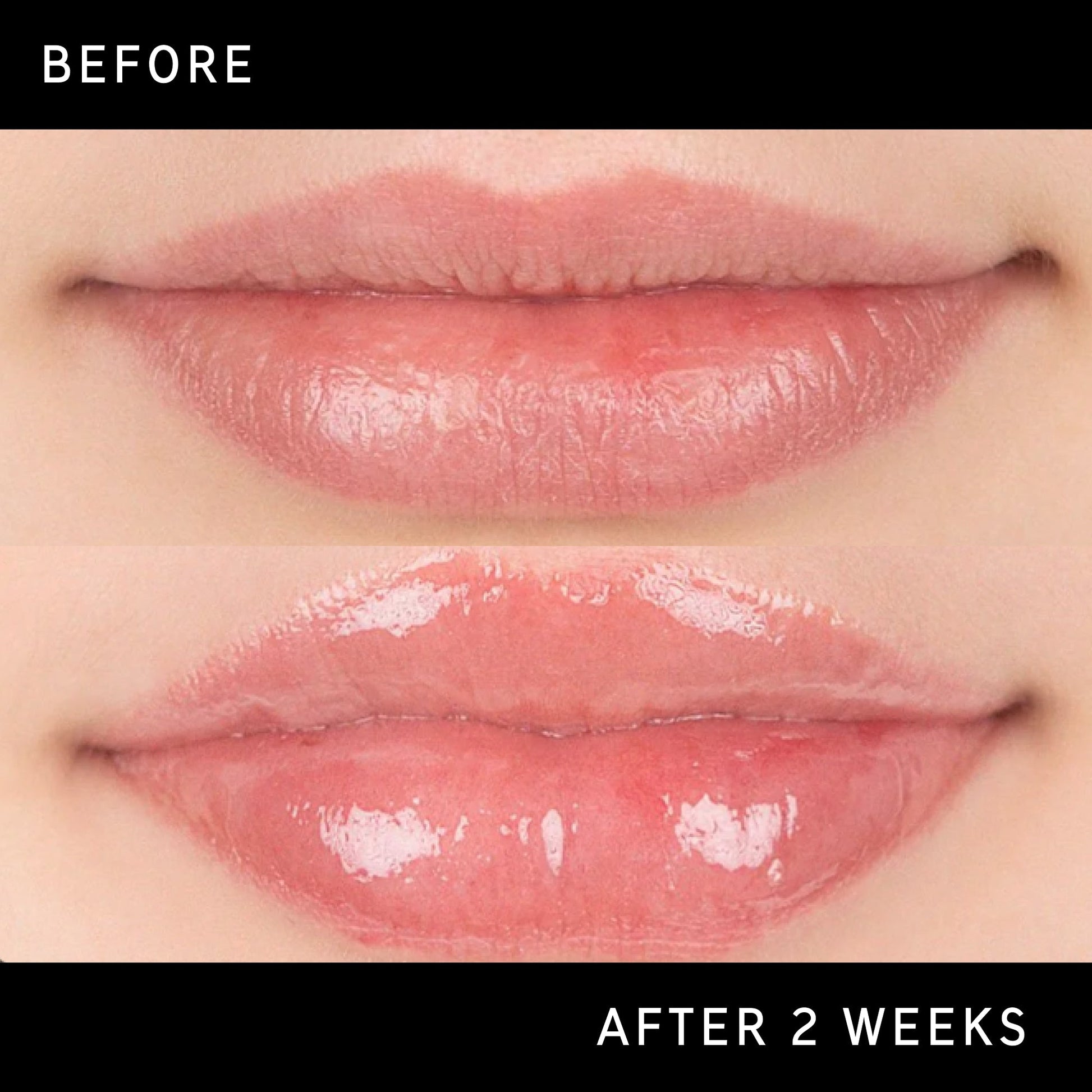 tripeptide-plumping-lip-balm-p7 DTC-Top15_Amends_Tripeptide-Lip_B_A.jpg